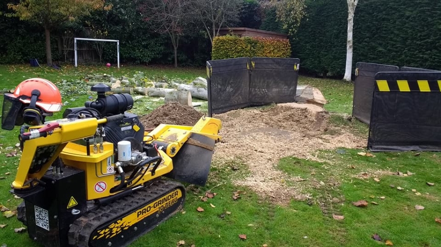 Before and After Stump Removal - Herts Stump Grinding and Removal -  The Tree Stump Removal Company