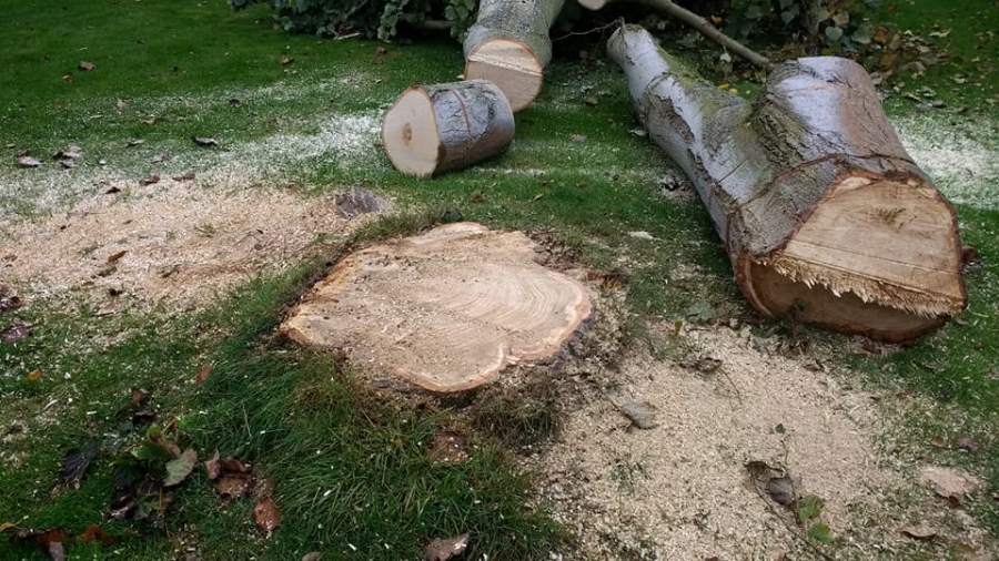 Before and After Stump Removal - Herts Stump Grinding and Removal -  The Tree Stump Removal Company