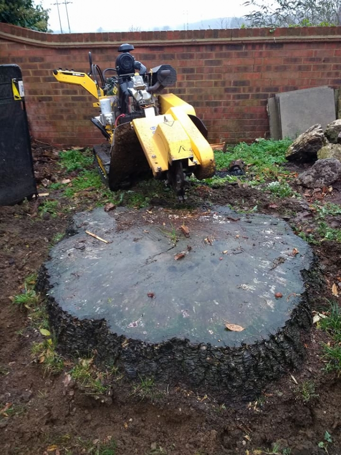 Before and After Stump Removal - Herts Stump Grinding and Removal -  The Tree Stump Removal Company