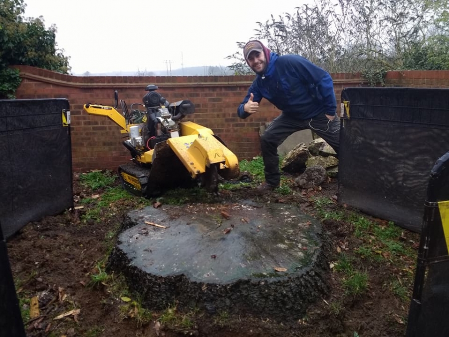 Before and After Stump Removal - Herts Stump Grinding and Removal -  The Tree Stump Removal Company
