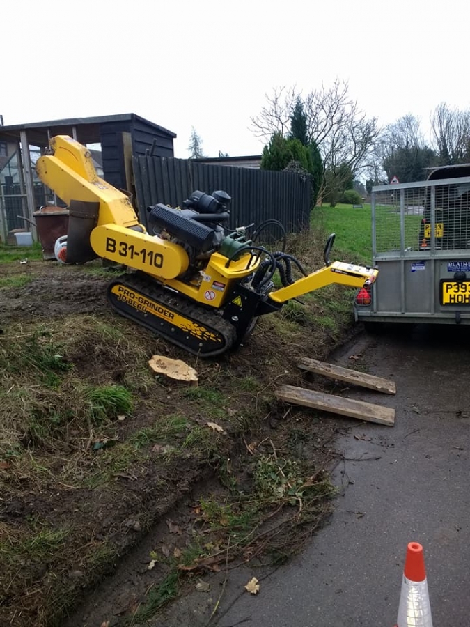 Before and After Stump Removal - Herts Stump Grinding and Removal -  The Tree Stump Removal Company