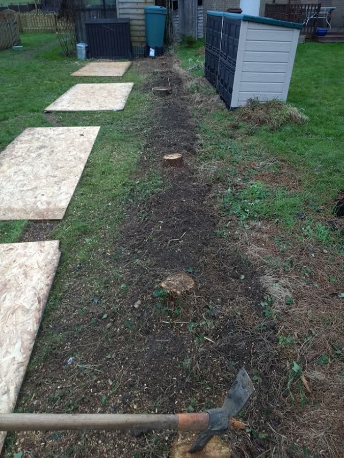 Before and After Stump Removal - Herts Stump Grinding and Removal -  The Tree Stump Removal Company