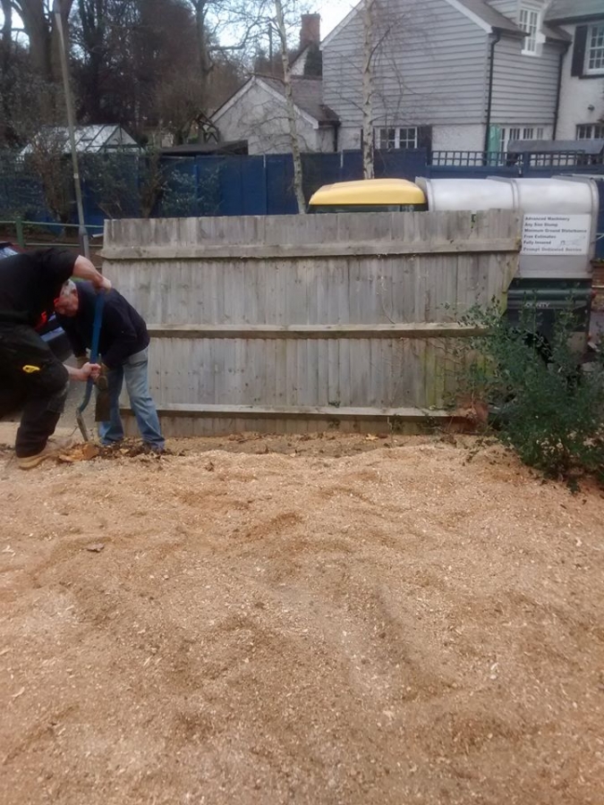 Before and After Stump Removal - Herts Stump Grinding and Removal -  The Tree Stump Removal Company
