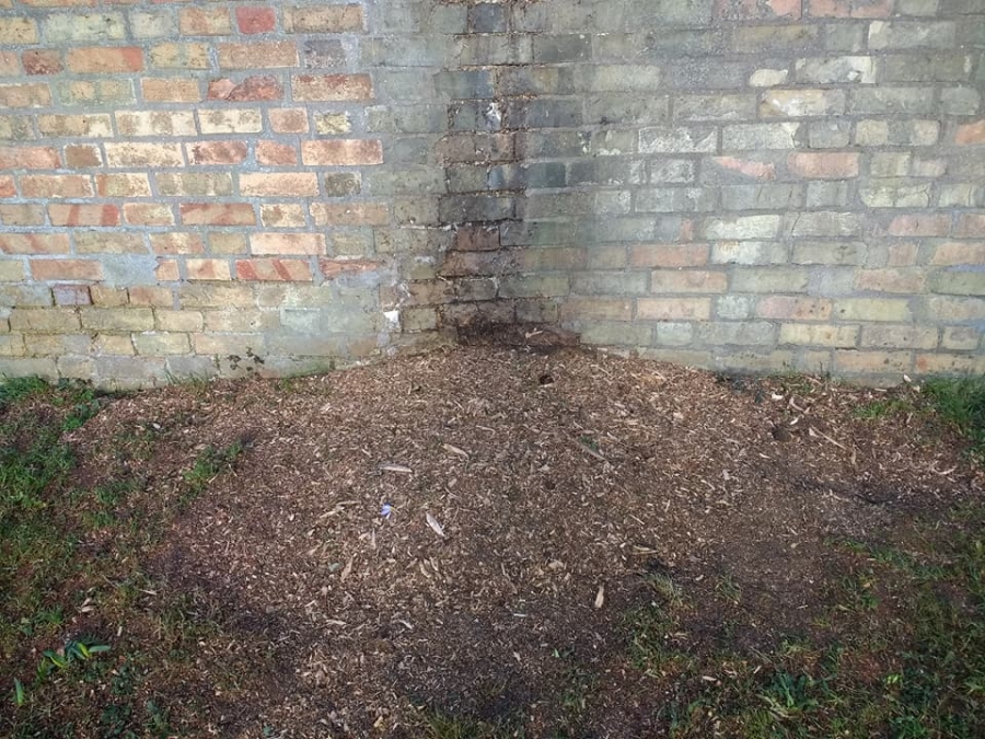 Before and After Stump Removal - Herts Stump Grinding and Removal -  The Tree Stump Removal Company