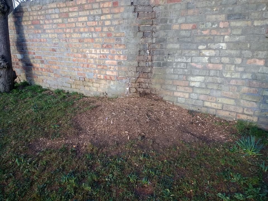 Before and After Stump Removal - Herts Stump Grinding and Removal -  The Tree Stump Removal Company