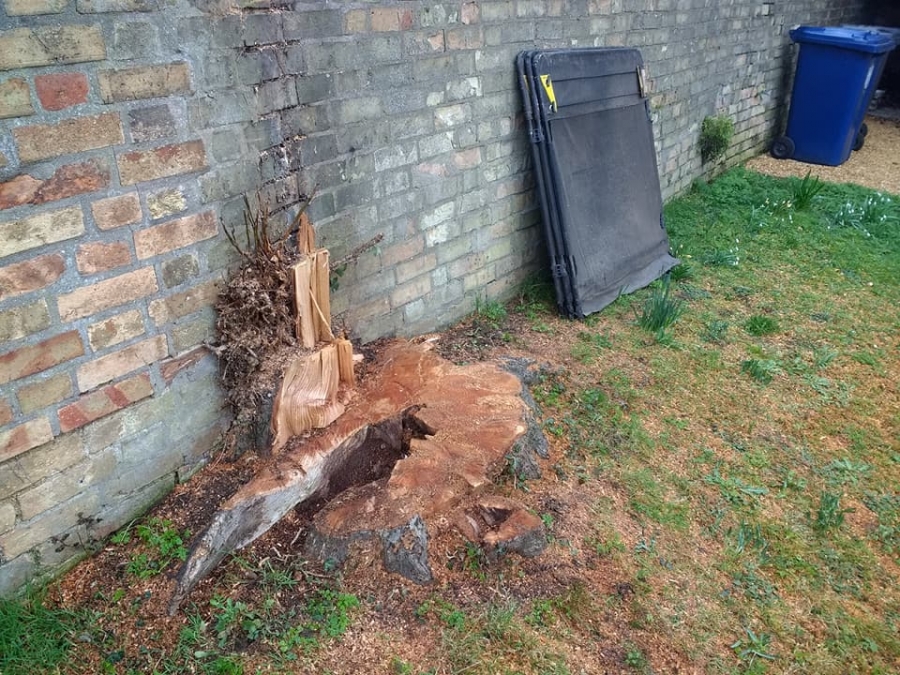 Before and After Stump Removal - Herts Stump Grinding and Removal -  The Tree Stump Removal Company