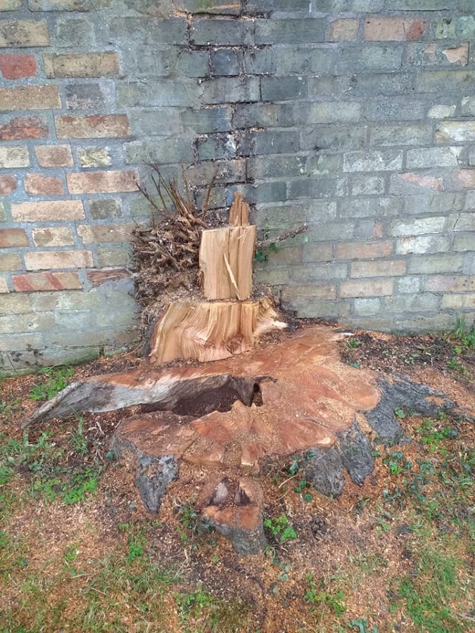 Before and After Stump Removal - Herts Stump Grinding and Removal -  The Tree Stump Removal Company