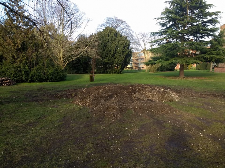 Before and After Stump Removal - Herts Stump Grinding and Removal -  The Tree Stump Removal Company