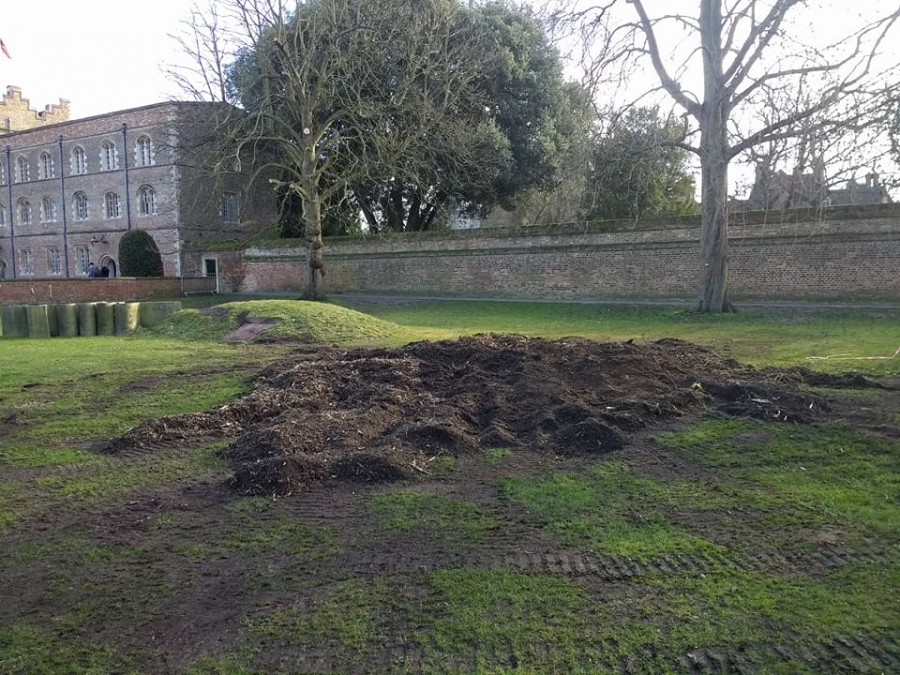 Before and After Stump Removal - Herts Stump Grinding and Removal -  The Tree Stump Removal Company
