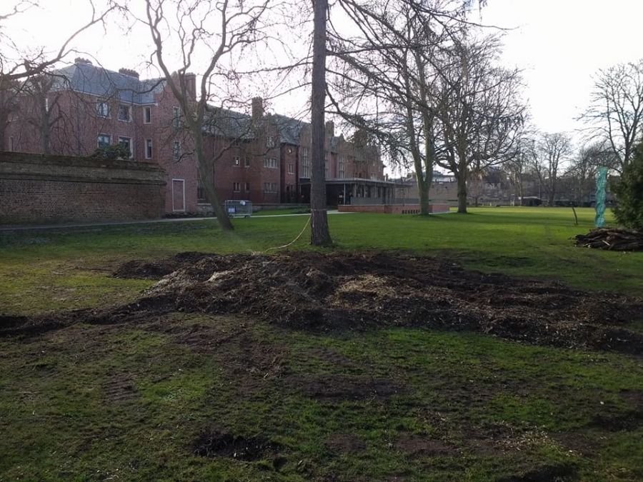 Before and After Stump Removal - Herts Stump Grinding and Removal -  The Tree Stump Removal Company