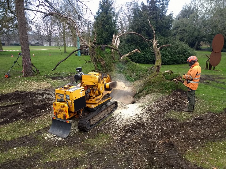Before and After Stump Removal - Herts Stump Grinding and Removal -  The Tree Stump Removal Company