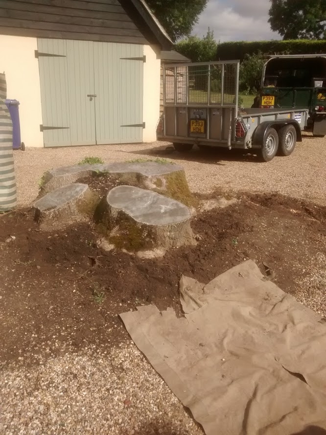Before and After Stump Removal - Herts Stump Grinding and Removal -  The Tree Stump Removal Company