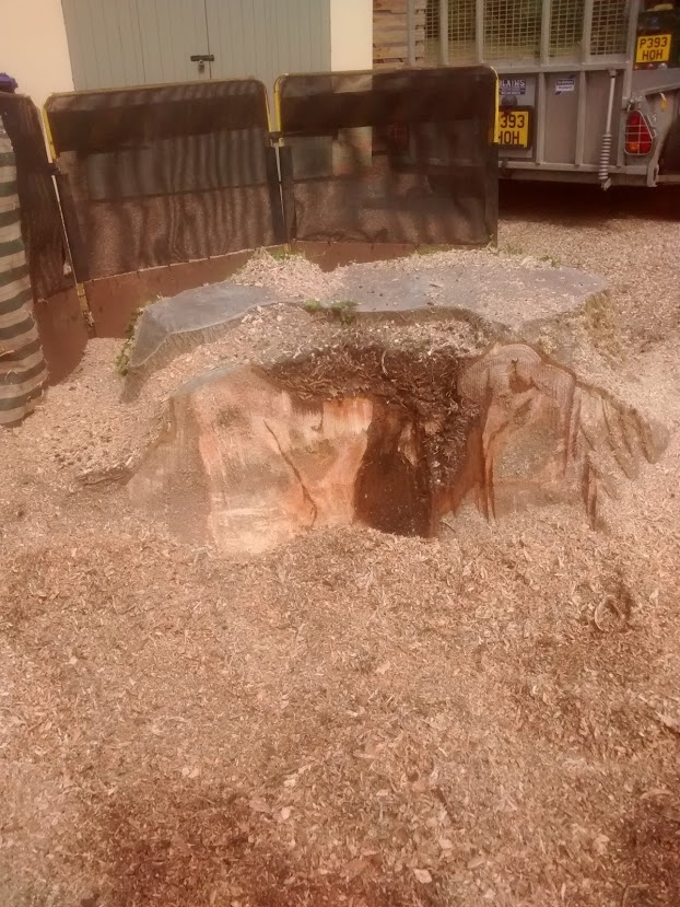 Before and After Stump Removal - Herts Stump Grinding and Removal -  The Tree Stump Removal Company