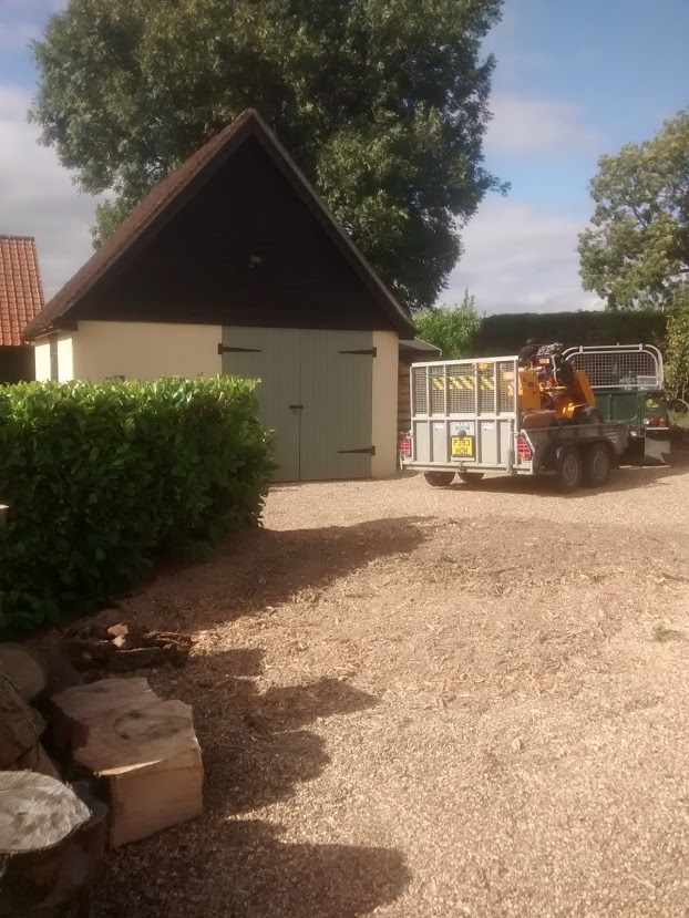 Before and After Stump Removal - Herts Stump Grinding and Removal -  The Tree Stump Removal Company