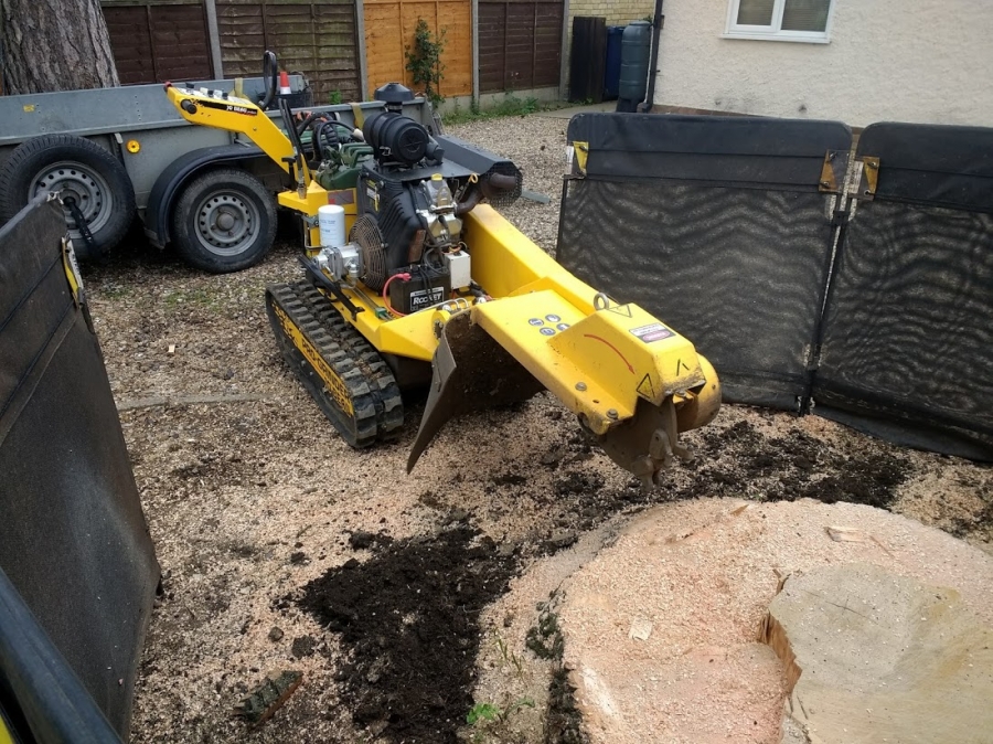 Before and After Stump Removal - Herts Stump Grinding and Removal -  The Tree Stump Removal Company