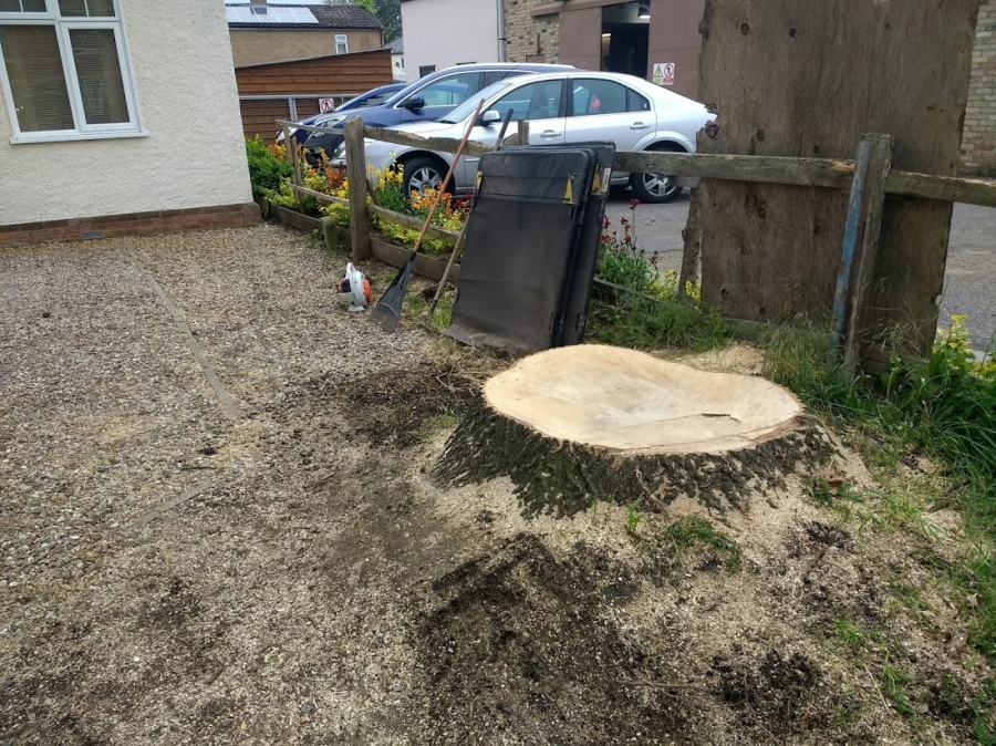 Before and After Stump Removal - Herts Stump Grinding and Removal -  The Tree Stump Removal Company