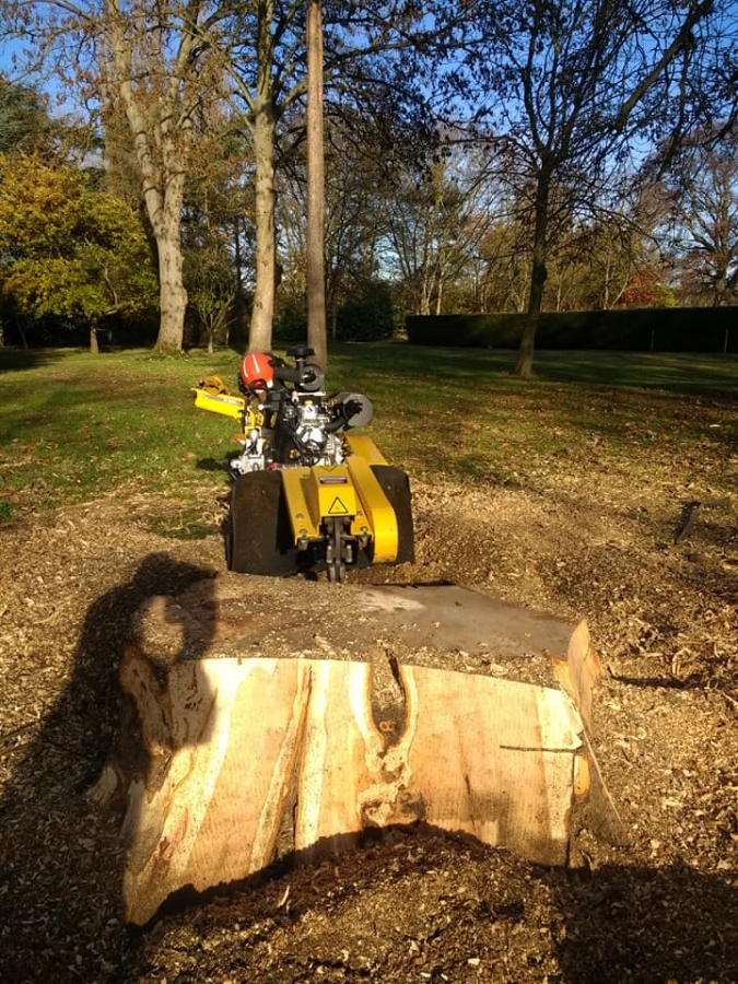 Before and After Stump Removal - Herts Stump Grinding and Removal -  The Tree Stump Removal Company