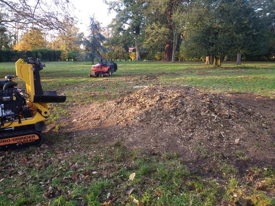 Before and After Stump Removal - Herts Stump Grinding and Removal -  The Tree Stump Removal Company