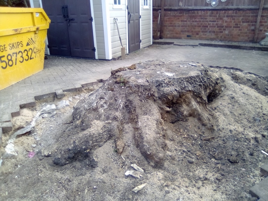 Before and After Stump Removal - Herts Stump Grinding and Removal -  The Tree Stump Removal Company