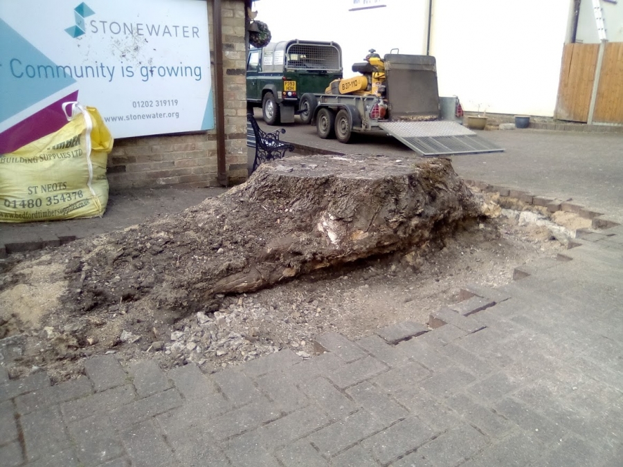 Before and After Stump Removal - Herts Stump Grinding and Removal -  The Tree Stump Removal Company
