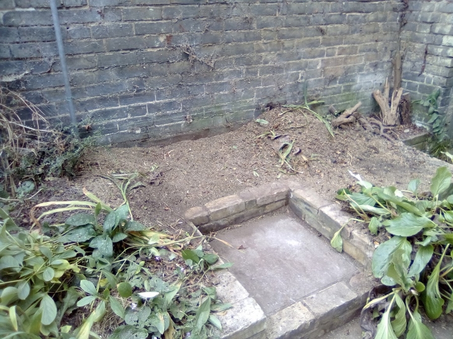 Before and After Stump Removal - Herts Stump Grinding and Removal -  The Tree Stump Removal Company