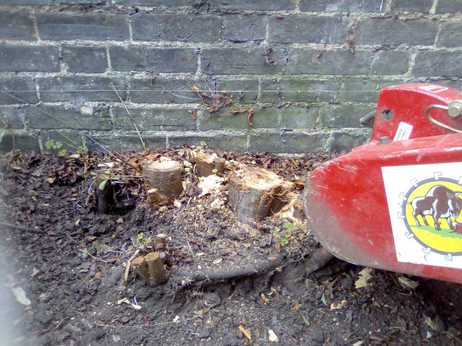 Before and After Stump Removal - Herts Stump Grinding and Removal -  The Tree Stump Removal Company