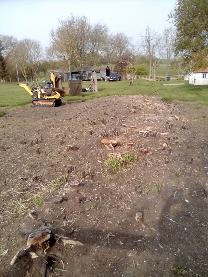 Before and After Stump Removal - Herts Stump Grinding and Removal -  The Tree Stump Removal Company