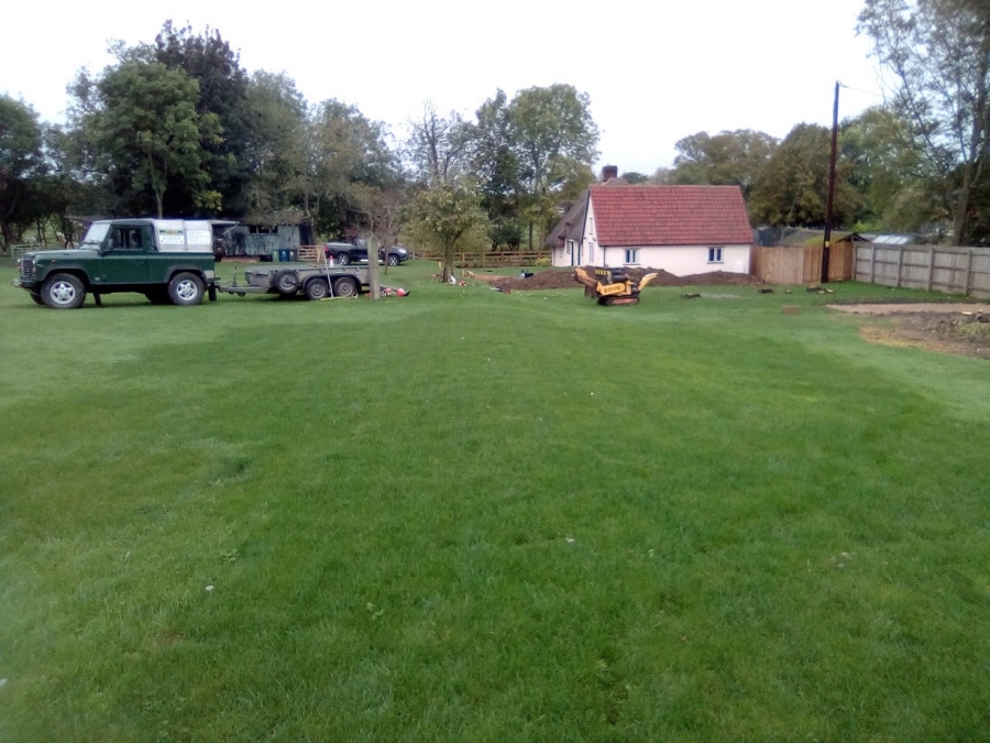Before and After Stump Removal - Herts Stump Grinding and Removal -  The Tree Stump Removal Company