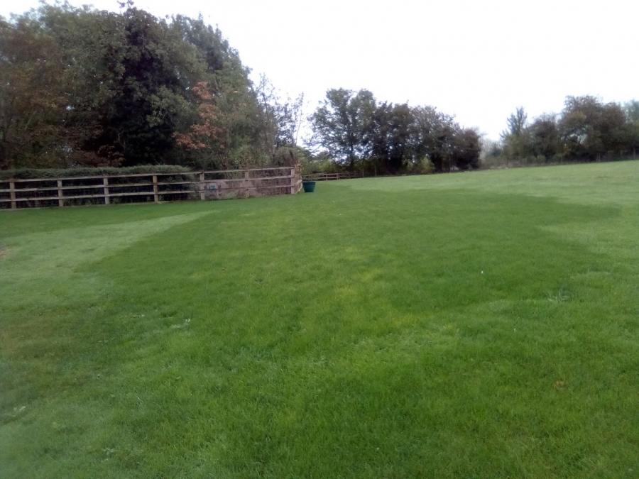 Before and After Stump Removal - Herts Stump Grinding and Removal -  The Tree Stump Removal Company
