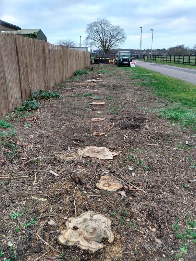 Before and After Stump Removal - Herts Stump Grinding and Removal -  The Tree Stump Removal Company