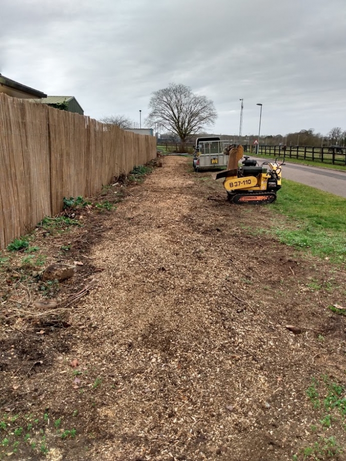 Before and After Stump Removal - Herts Stump Grinding and Removal -  The Tree Stump Removal Company