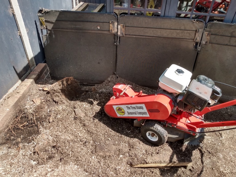 Before and After Stump Removal - Herts Stump Grinding and Removal -  The Tree Stump Removal Company