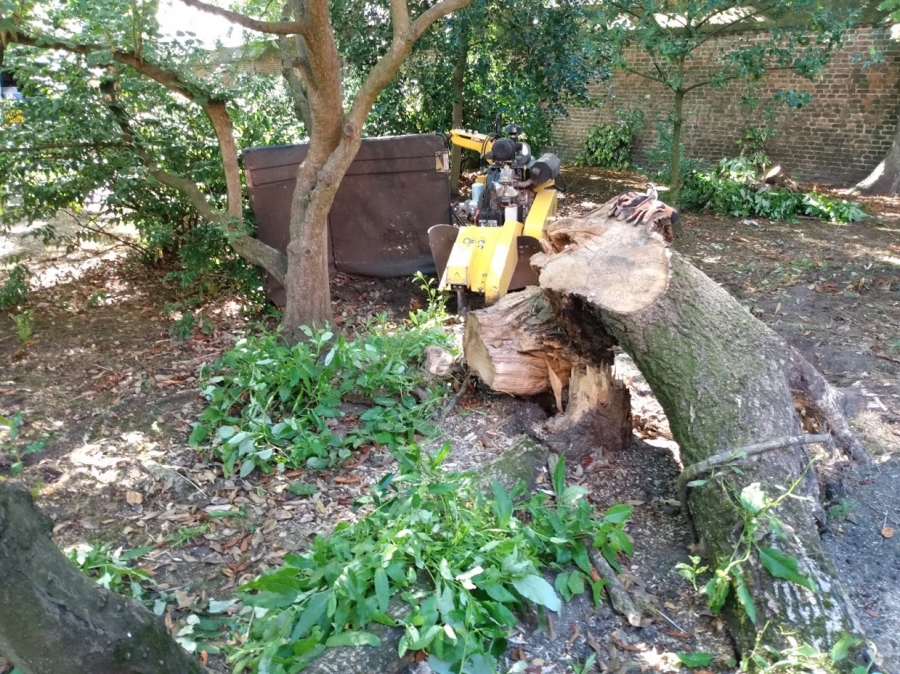 Before and After Stump Removal - Herts Stump Grinding and Removal -  The Tree Stump Removal Company