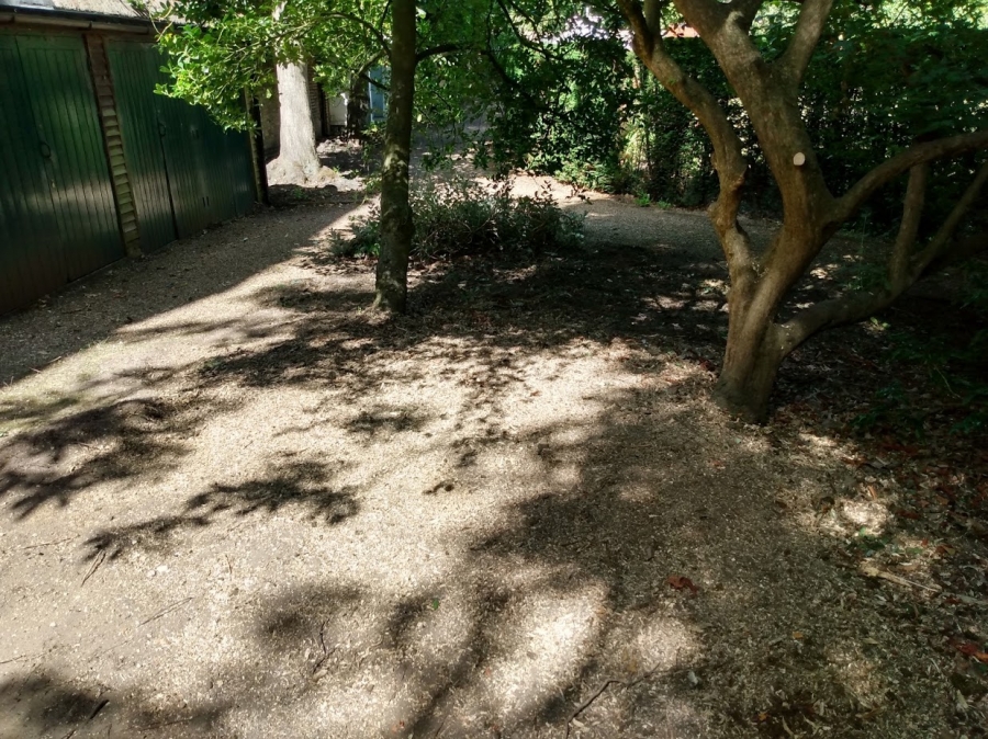 Before and After Stump Removal - Herts Stump Grinding and Removal -  The Tree Stump Removal Company