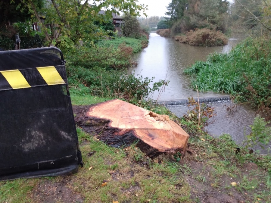 Before and After Stump Removal - Herts Stump Grinding and Removal -  The Tree Stump Removal Company