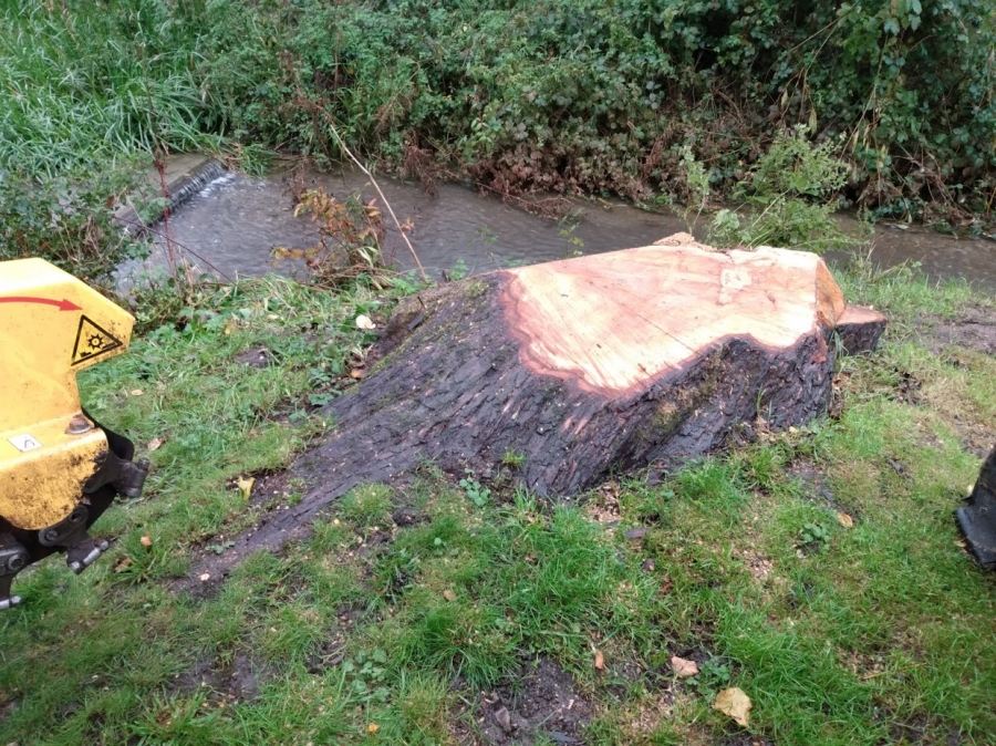 Before and After Stump Removal - Herts Stump Grinding and Removal -  The Tree Stump Removal Company