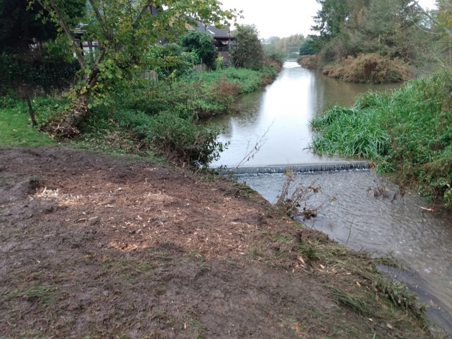 Before and After Stump Removal - Herts Stump Grinding and Removal -  The Tree Stump Removal Company