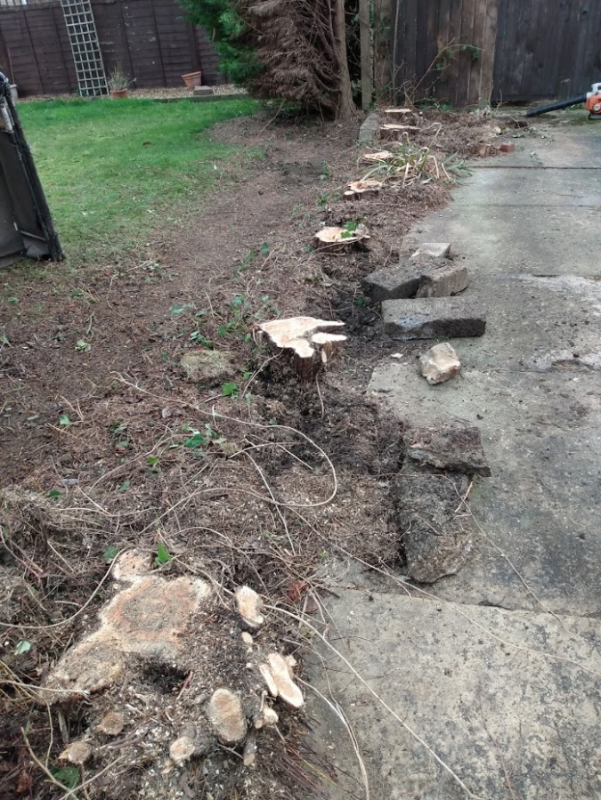 Before and After Stump Removal - Herts Stump Grinding and Removal -  The Tree Stump Removal Company