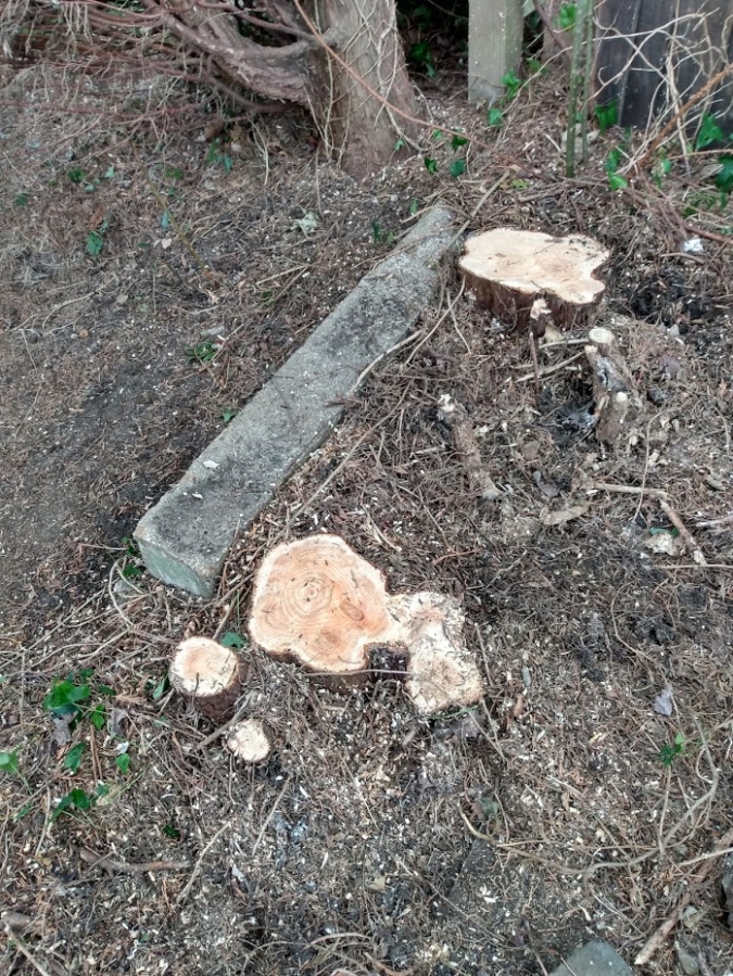 Before and After Stump Removal - Herts Stump Grinding and Removal -  The Tree Stump Removal Company