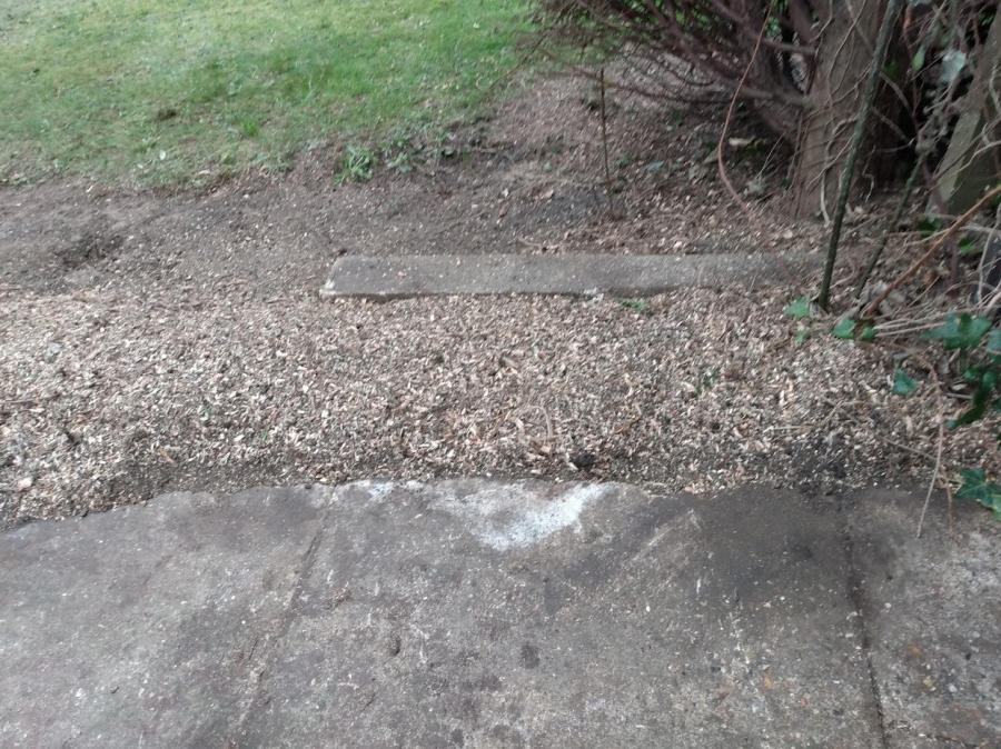 Before and After Stump Removal - Herts Stump Grinding and Removal -  The Tree Stump Removal Company