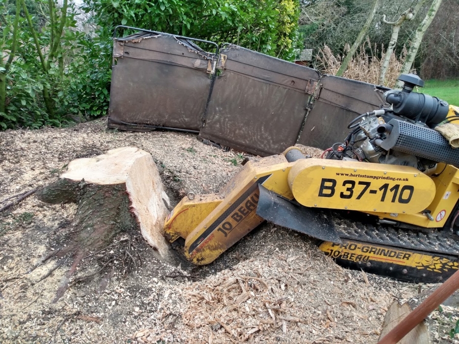 Before and After Stump Removal - Herts Stump Grinding and Removal -  The Tree Stump Removal Company