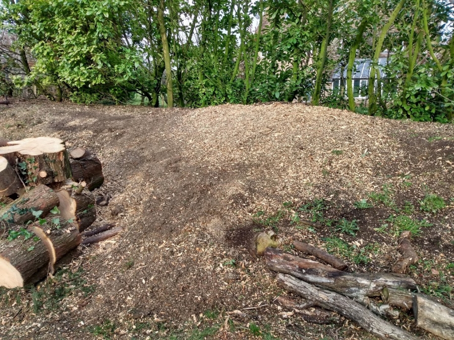 Before and After Stump Removal - Herts Stump Grinding and Removal -  The Tree Stump Removal Company