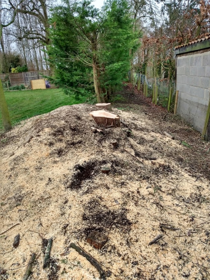 Before and After Stump Removal - Herts Stump Grinding and Removal -  The Tree Stump Removal Company