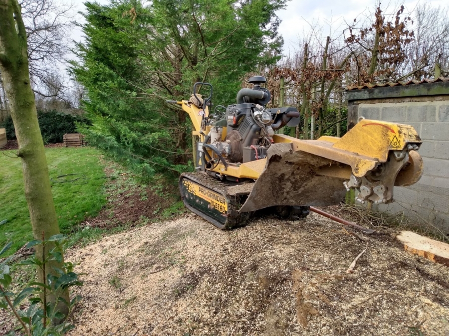 Before and After Stump Removal - Herts Stump Grinding and Removal -  The Tree Stump Removal Company