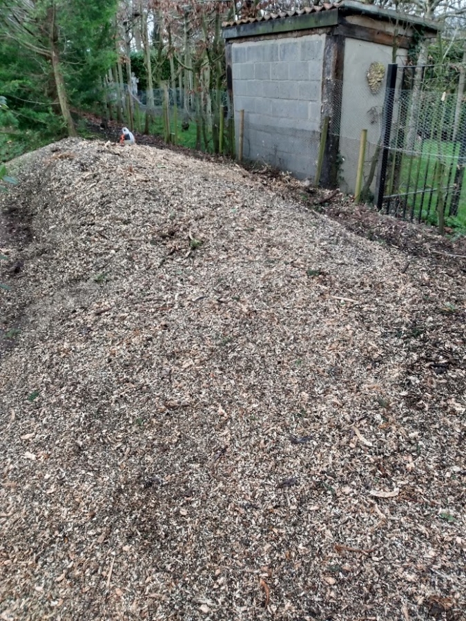 Before and After Stump Removal - Herts Stump Grinding and Removal -  The Tree Stump Removal Company