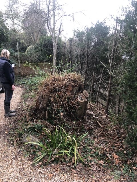 Before and After Stump Removal - Herts Stump Grinding and Removal -  The Tree Stump Removal Company