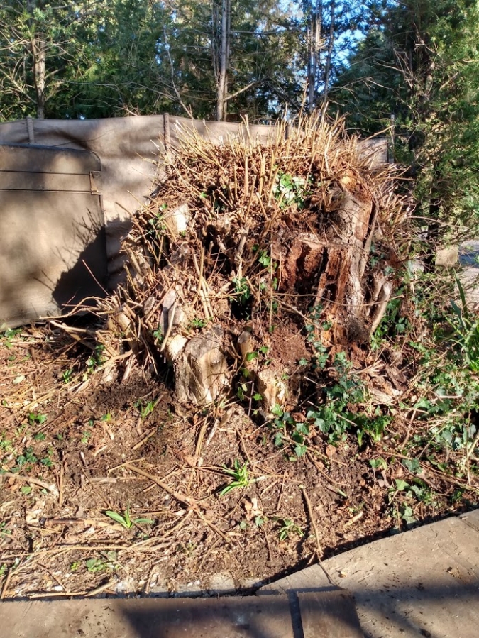 Before and After Stump Removal - Herts Stump Grinding and Removal -  The Tree Stump Removal Company