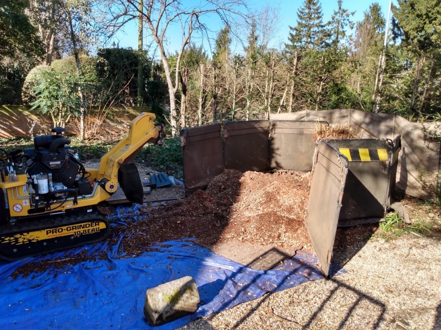 Before and After Stump Removal - Herts Stump Grinding and Removal -  The Tree Stump Removal Company