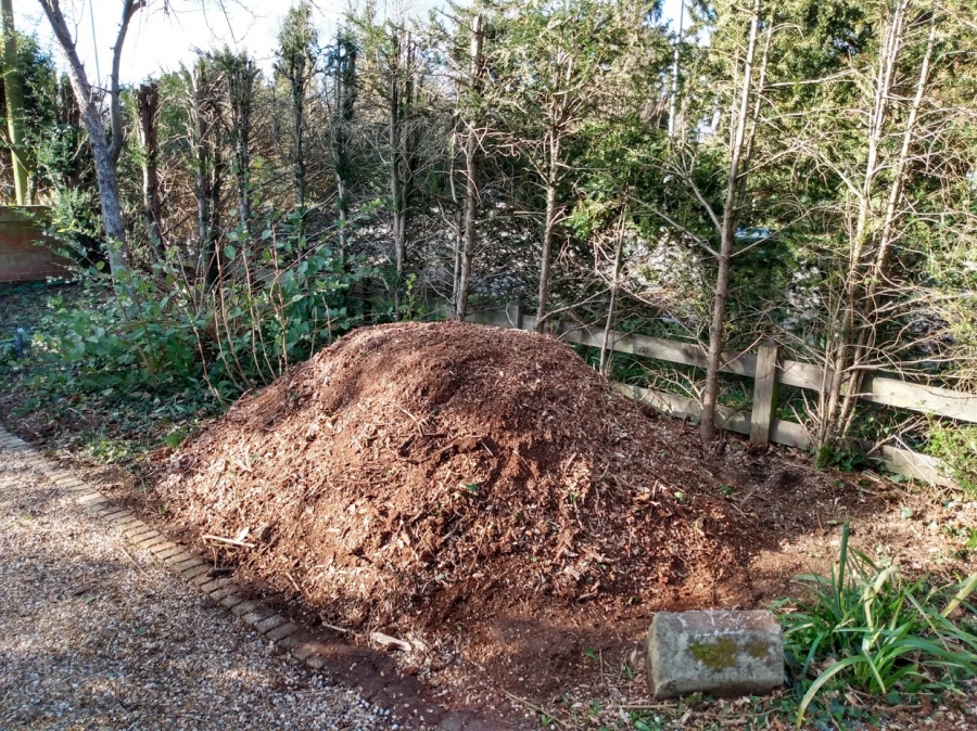 Before and After Stump Removal - Herts Stump Grinding and Removal -  The Tree Stump Removal Company