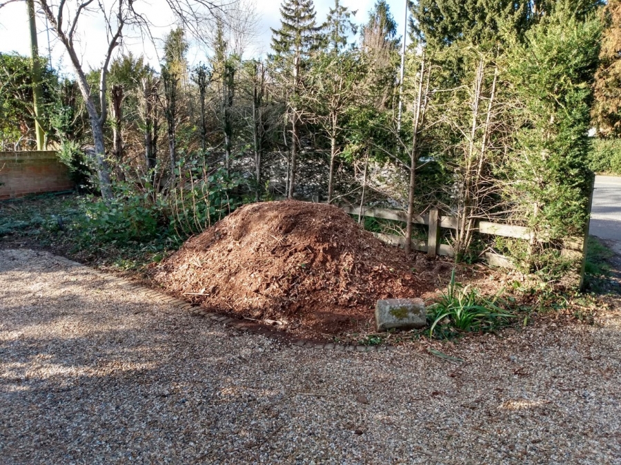 Before and After Stump Removal - Herts Stump Grinding and Removal -  The Tree Stump Removal Company
